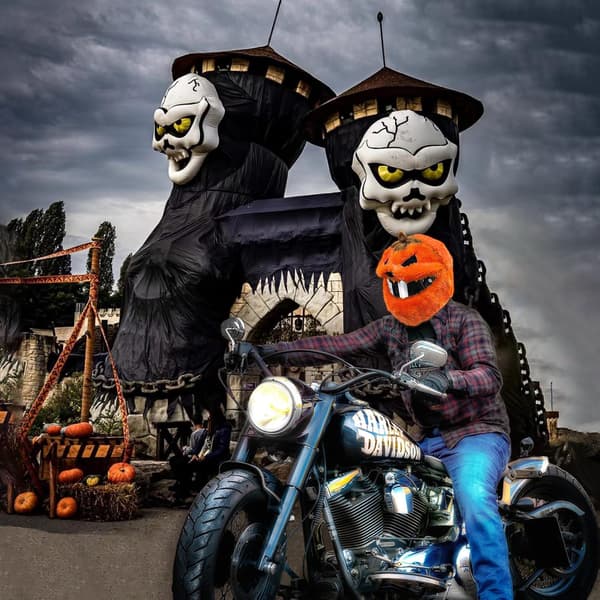 Motorcykelhjälmsöverdrag Halloween Pumpa One Size Passar alla Nöjdhetsgaranti Orange Lättviktig / Tunn modell Lightweight / Thin style