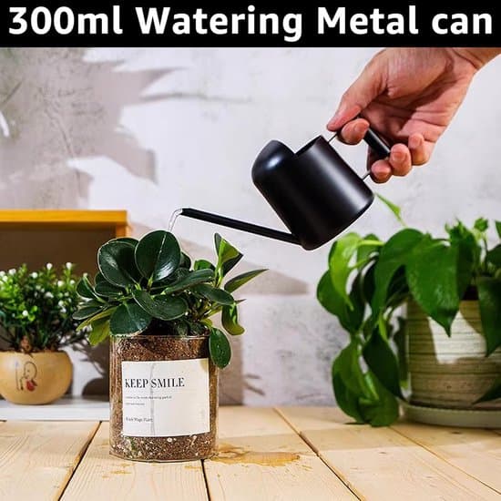 Indendørs vandkande 300 ml rustfrit stål mini vandkande lang tud lille vandkande til potteplanter vanding af grønne planter (sort)