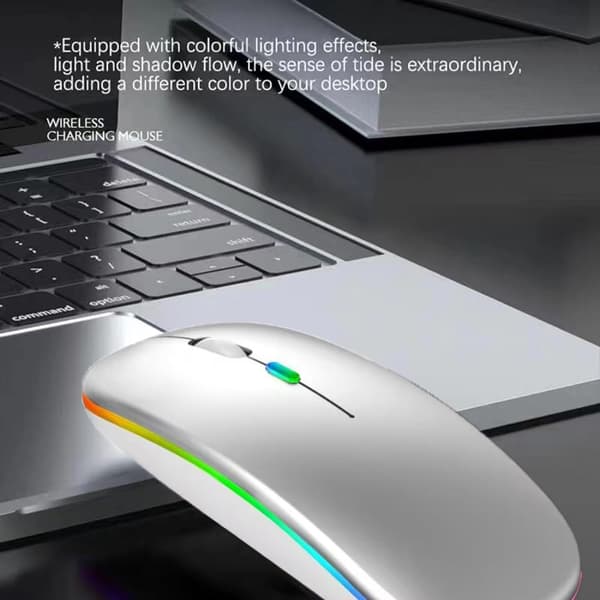 Bluetooth-mus för MacBook/MacBook Air/Pro/iPad, trådlös mus för laptop/notebook/pc/iPad/Chromebook Space Silver shine