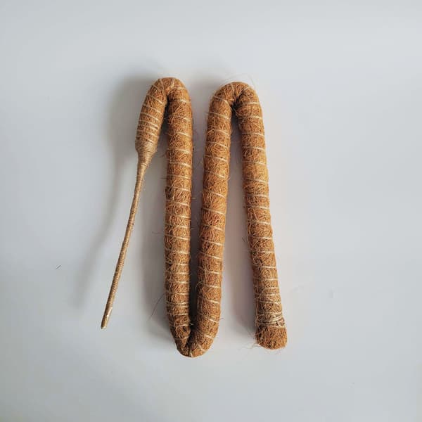 Coco Stick Sæt med 2 – Grønne Græsstænger til Plantestøtte Perfekt til Klatrende Indendørsplanter (Coco Pakke med 2)