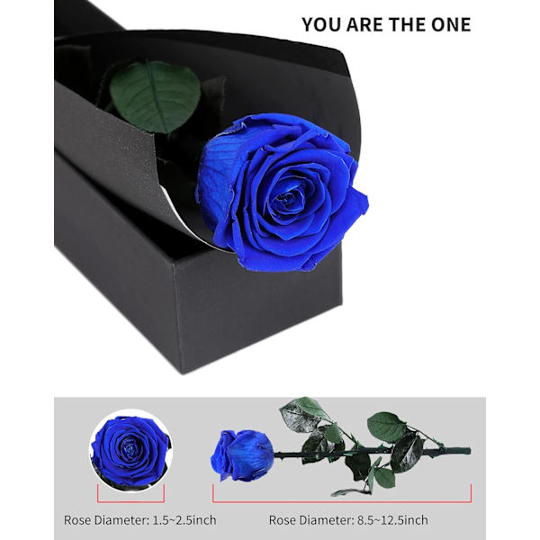 Levering med blå blomster Prime konserverte blå roser til damer ekte roser.