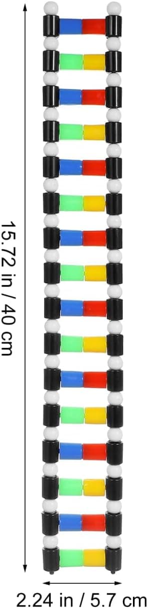 DNA-modelkit Undervisningsmateriale Model DNA Dobbelt Helix Molekylært Kit Display Struktur til Skoleelev Videnskabsundervisning Uddannelsesmæssig Læring