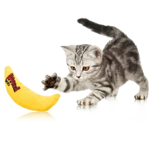 Katteniplegetøj Bananform Lærredsmateriale Interaktivt Legetøj Egnet til Katte (3 STK)
