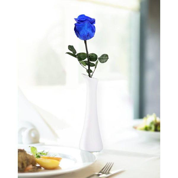 Levering med blå blomster Prime konserverte blå roser til damer ekte roser.