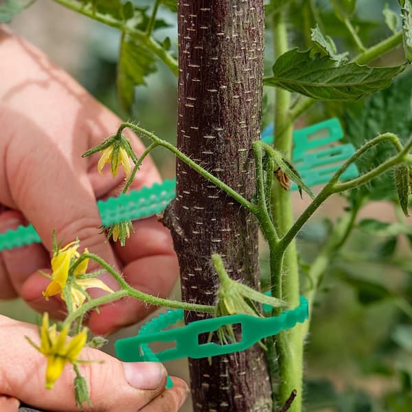 200 Stykker Justerbare Haveplantebind Genanvendelige Grønne Bind Havearbejde Bind Plastik