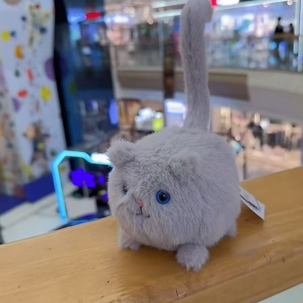 Jellycat Kitten Caboodle Ljusgrå Plyschleksak NWT Gosig Samlarobjekt Present mjuk