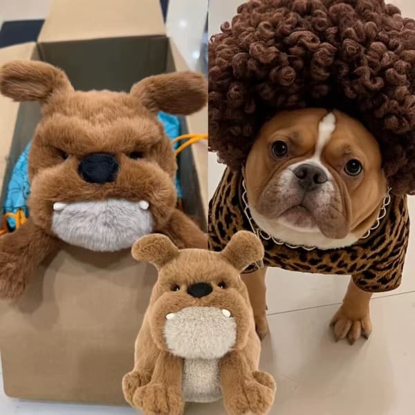 Jellycat Bedårande Derreck Hund Plysch BNWT Mjuk Leksak Samlarobjekt Present till Barn