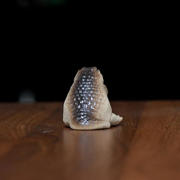 Söt Zisha liten krokodil liten krokodil te Ceremoni för husdjur
