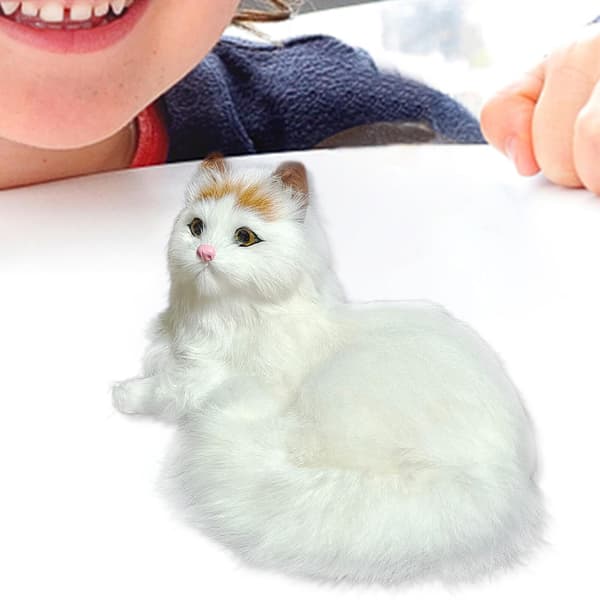 Realistiska persiska kattdjur Modeller Plyschleksak Barn Fyllda Fluffiga dockapresenter