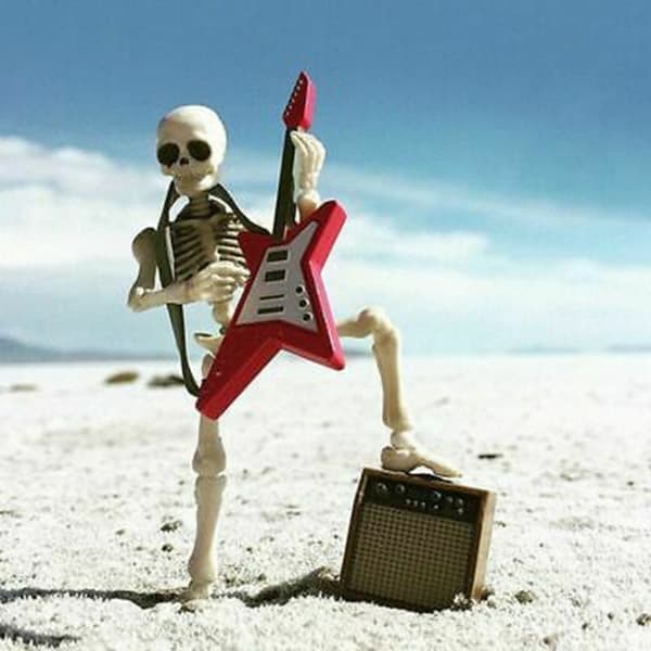 Skull Toy Pose Skelett Människokroppen Flexibel modell Docka Heminredning samla presenter