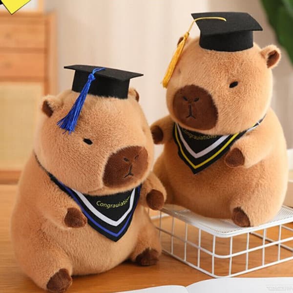 Examens Capybara Gosedjur Plysch Capybara Docka Heminredning Samlarobjekt mjuk Doctor Dolphin - Yellow collar