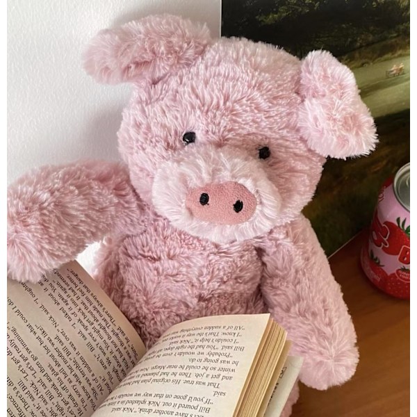 Jellycat Barnabus Gris Gosedjur Plyschleksak Present med Gratis Dammpåse 26CM