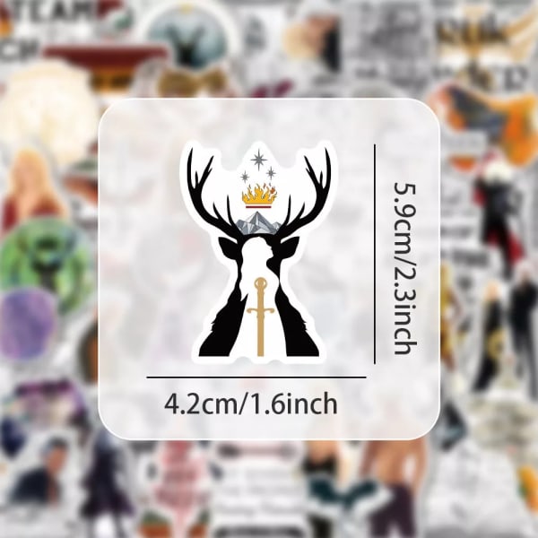 50 Throne of Glass Stickers Sigils Best Quoutes Character Hydro Flask Guitar Book