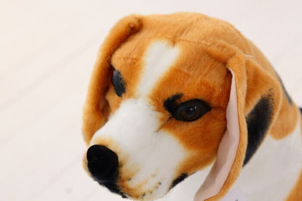 jack russell terrier plysch plysch Standing posture 30 CM