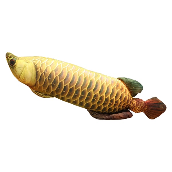 Fisk plysch leksak Gyllene Arowana soffa prydnad fyllda havet kudde Golden 1M