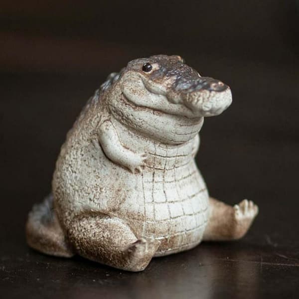Söt Zisha liten krokodil liten krokodil te Ceremoni för husdjur