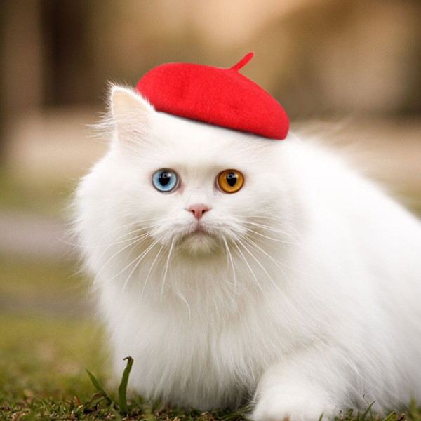 Hund Katt Basker Hatt Huvudbonad Bandana Vintervalp Varm cap Cap Red