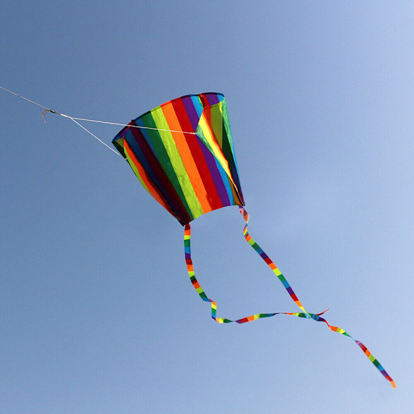 Roliga leksaker för barnlek - 3D drake med svans Drake Stor linje utomhusflygning Rainbow #B