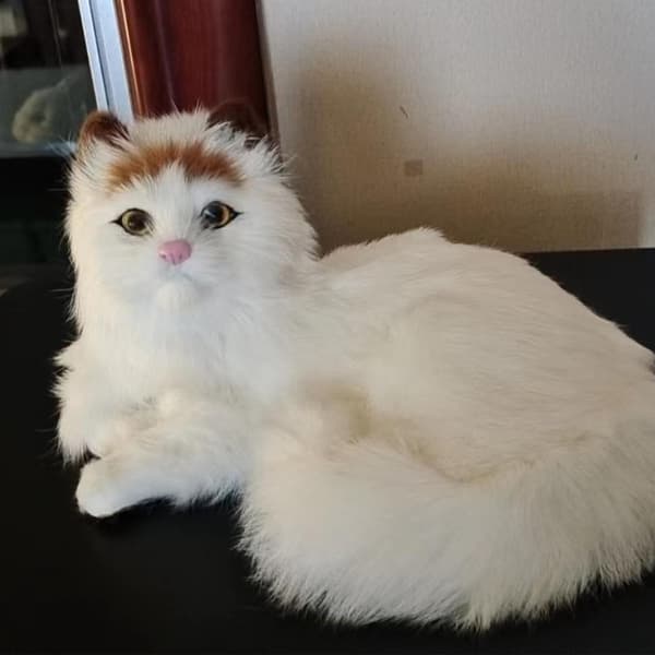 Realistiska persiska kattdjur Modeller Plyschleksak Barn Fyllda Fluffiga dockapresenter