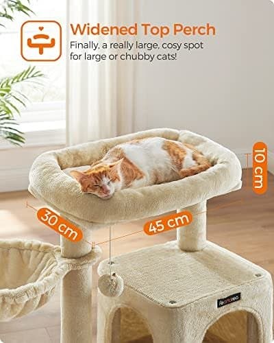 Kattträd, Katttorn, Förlängd Abborre För Stora Katter, Beige