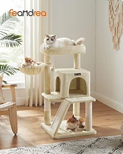 Kradsetræ, Kradsetårn, Forlænget Aborre Til Store Katte, Beige
