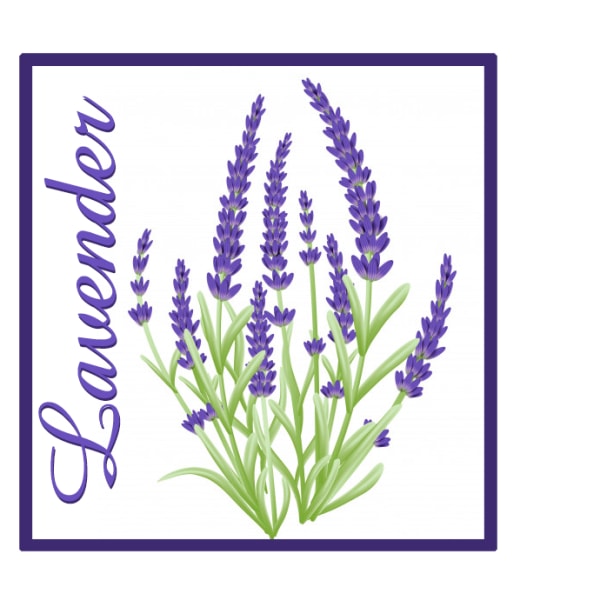 Wellys®GI-122102: 10 stycken bambulapp "Lavendel"