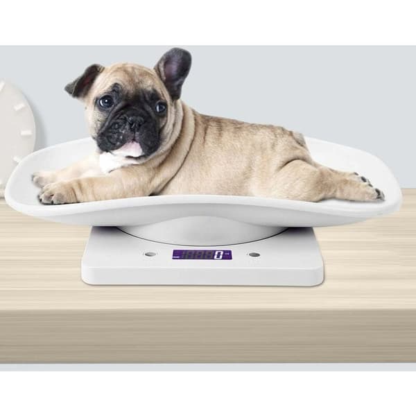10kg/1g Digital Scale for Small Animals, Measures Precisely for Cats and Dogs, Electronic Kitchen Scale for Pets -{hh]