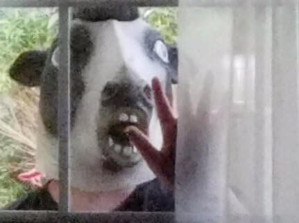 Halloween Kostymfest Latex Mask Dyrehode Ku