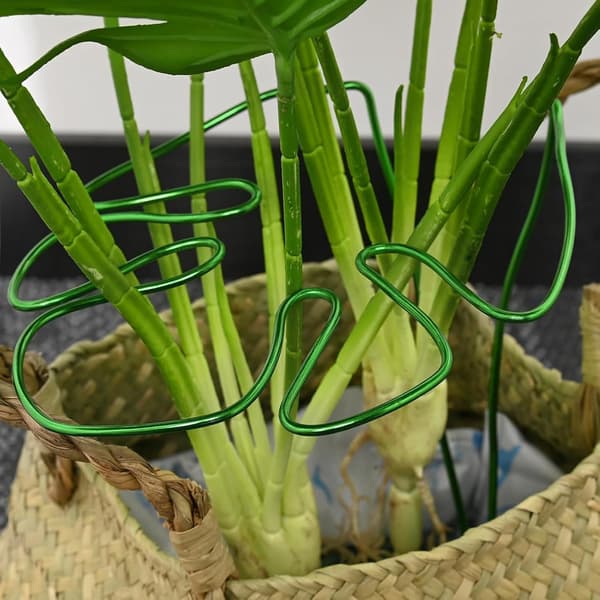 Monstera Plant Support with Unique Leaf Design for Indoor Plants, Versatile Stem Support (Green)