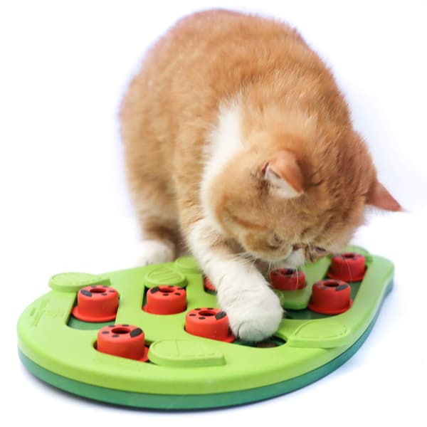 Interaktiv kattgodispussel, interaktiv automatisk kattbollleksak - roliga kattleksaker