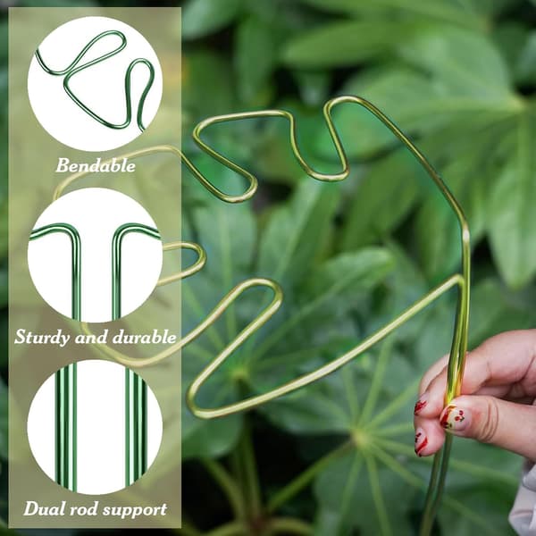 Monstera Plant Support with Unique Leaf Design for Indoor Plants, Versatile Stem Support (Green)