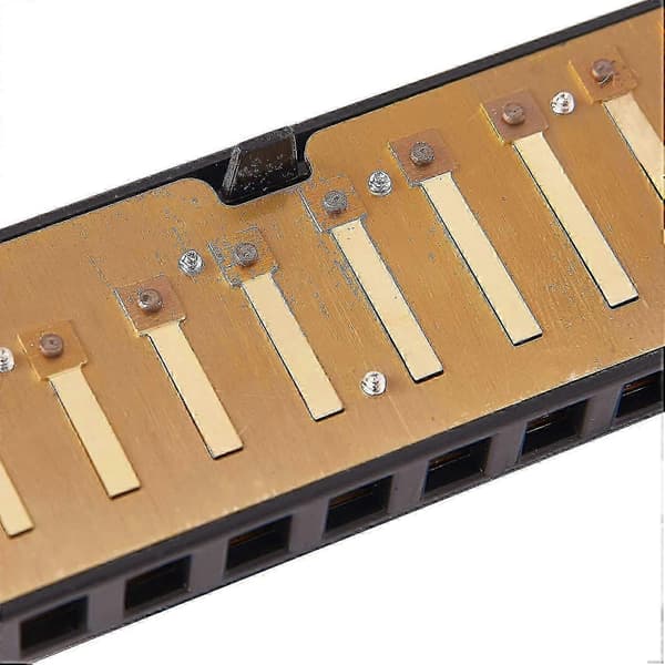 10 Huller 20 Harmonika Blues Deluxe Harmonika Begynder C Harmonika - Sort - KC