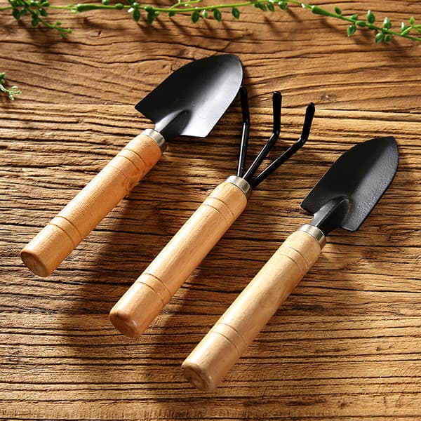 Svart 3-delt sett minihageredskaper spade rake spade sukkulent