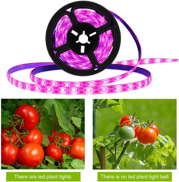 LED-vekstlysstriper Vanntett Fullspektrum Innendørsplanter Sukkulenter Hydroponics Drivhus Hagebelysning USB(3M)