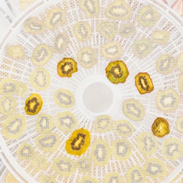 12 stk. non-stick silikonmåtter til dehydrator, genanvendelige tørreklude til mad