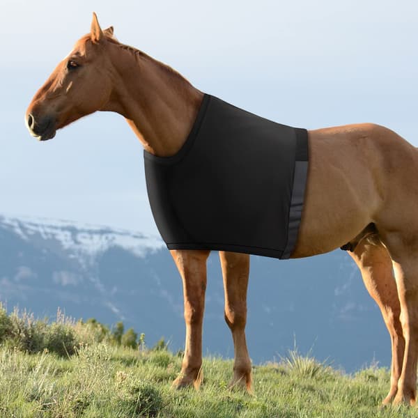 Shoulder Protector for Horses, Highly Elastic Spandex Vest - Anti-Chafe Bib - Black Size L