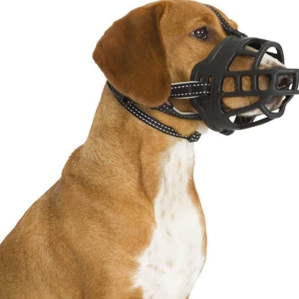 Ergonomisk pasform, åndbart hundemundkurv til uhindret gispning, drikkeri og slikspisning