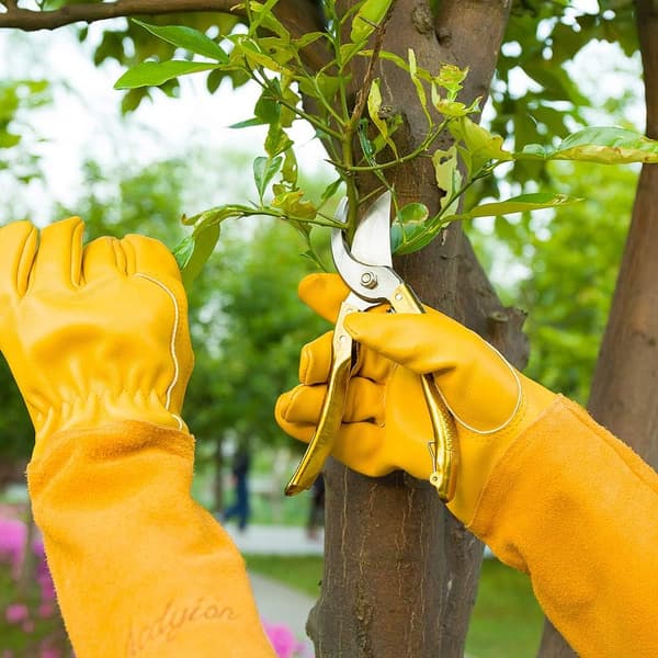 Dame/Herre Havehandsker Rose Trim Tørn og Skærebestandig Lang