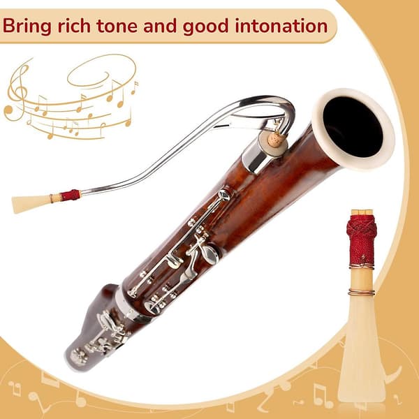 5 Pcs Bassoon Reeds with 1 Bassoon Reed Protector Case