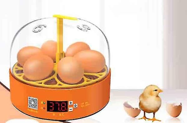 Automatisk egginkubator 6 egginkubatorer, automatisk eggvending EU