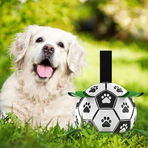 1 stk egnet for fotball med gripepigger, interaktive hundeleker, egnet for drakamp