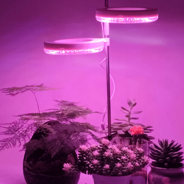 Dual-Head Succulent Plant Grow Light LED Full Spectrum Grow Light with 3H/9H/12H Timer Switch, Adjustable Ring Light