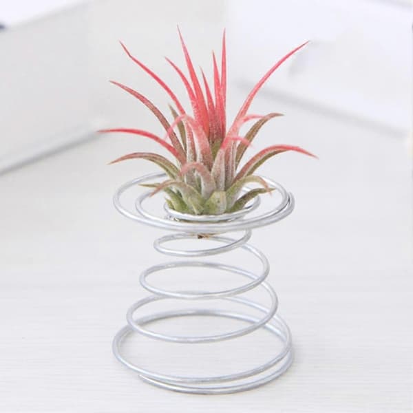 10 stk. Luftplante Tråd Springholder Blomsterpotter Miniaturestativ Havedekor