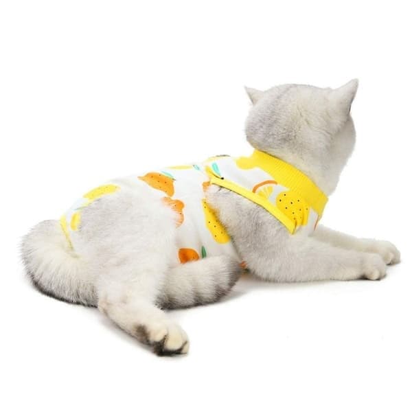 Återhämtningsdräkt för katt, randig, citron Lemon Lemon