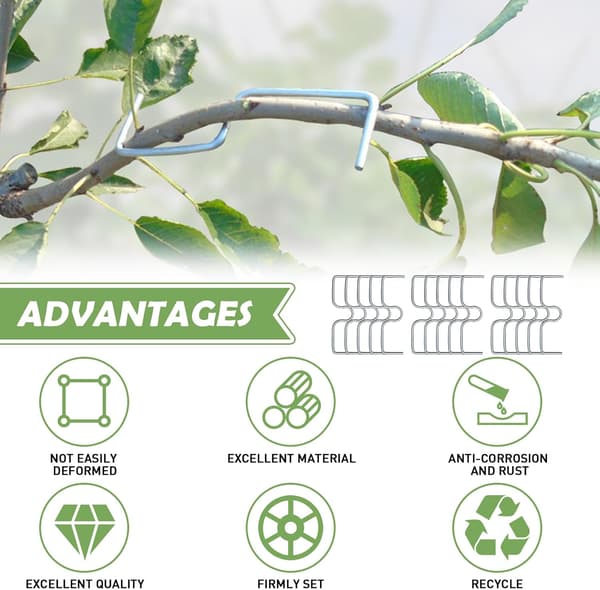 30 Pieces Fruit Tree Branch Spreaders, Fruit Branch Holders, Metal Branch Clips for Garden Branches, for Spreading and Stretching Fruit Tree Branches