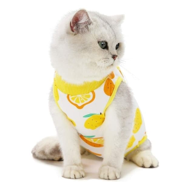 Återhämtningsdräkt för katt, randig, citron Lemon Lemon