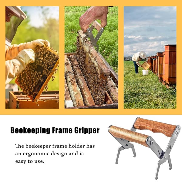 Stainless Steel Bee Frame Holder, Practical Tool for Beekeepers, Beehive Runner