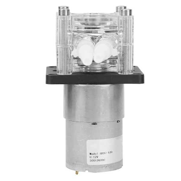 Peristaltic pump with high flow and strong suction DC12V motor