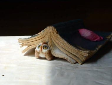 Miniature Garden Figurine - Reading Frog with Turtle