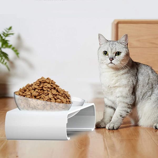 Cat food bowl with tilt for eating and drinking utensils, white